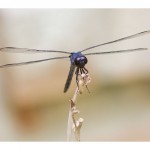 web773img_4473