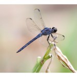web789img_4507