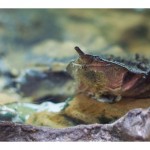 web899img_4644