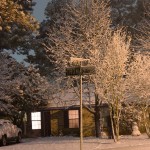 web_7865 web_7865