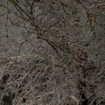 web_7870 web_7870