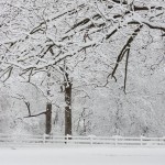 web_7958 web_7958