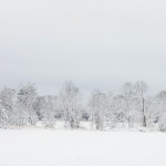 web_7963 web_7963