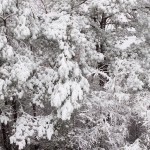 web_7974 web_7974