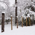 web_7976 web_7976
