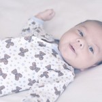 web_8242