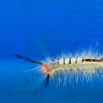 406web_9404