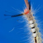 409web_9414