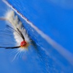 415web_9423