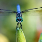 435web_9470