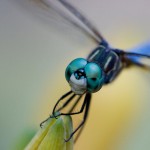 446web_9482