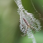 449web_9494
