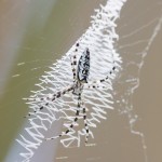 456web_9504