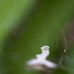 459web_9507