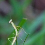 480web_9558