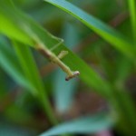 482web_9562