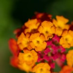 web_9284