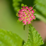 web_9285