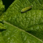 web_9290