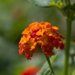 web_9305