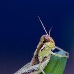 web_9311