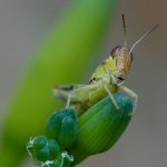 web_9313
