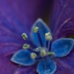 web_9322