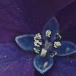 web_9323
