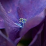 web_9334
